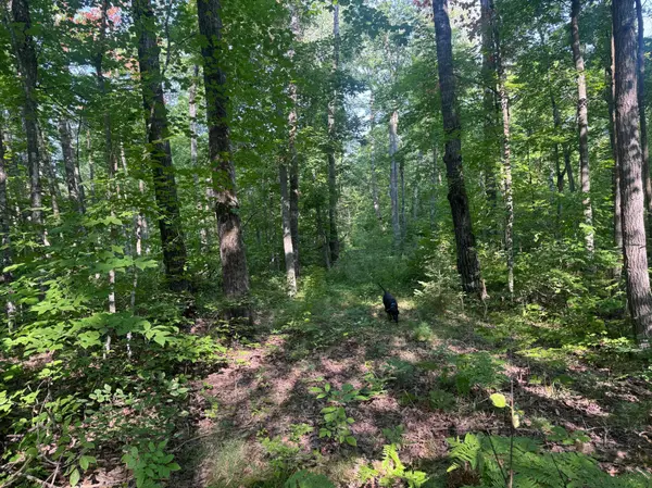TBD Howard Lake RD NW, Akeley, MN 56433