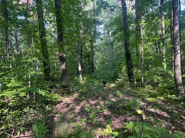 TBD Howard Lake RD NW, Akeley, MN 56433