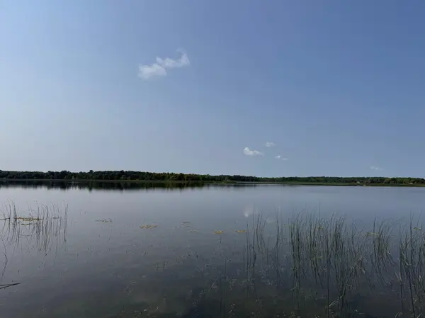 49723 Leaf River RD, Ottertail, MN 56571