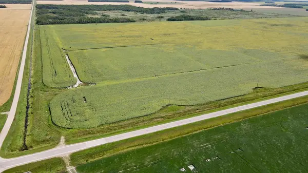 000 State Hwy 219, Goodridge, MN 56725