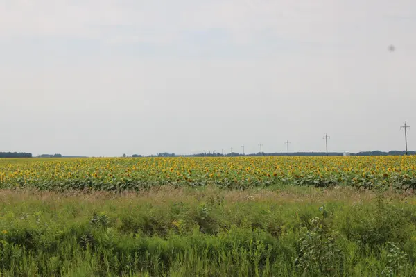 000 State Hwy 219, Goodridge, MN 56725