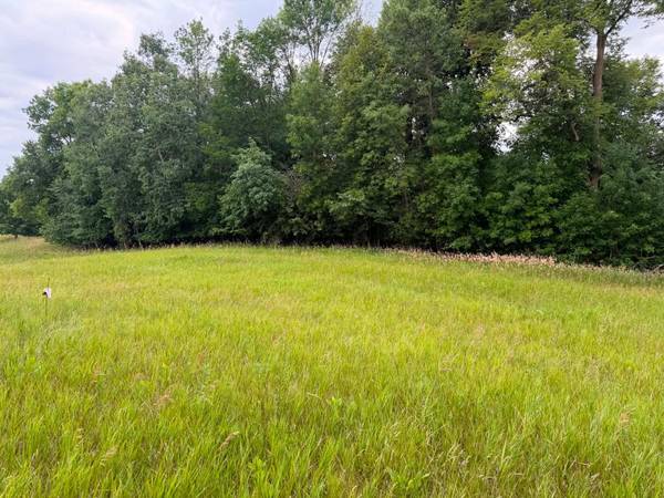 TBD 405th AVE NW, Braham, MN 55006