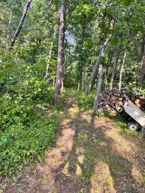 29890 Ranchette DR, Pequot Lakes, MN 56472