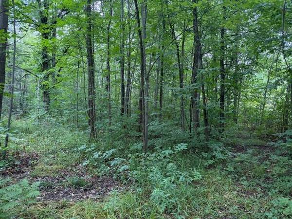 19348 170th ST, Mcgrath, MN 56350