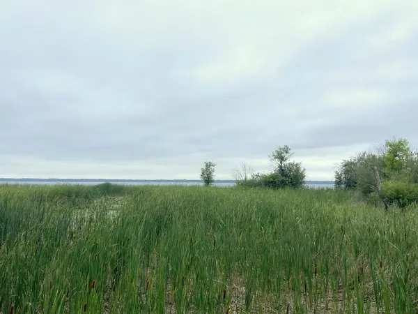 24627 County Road 3, Merrifield, MN 56465
