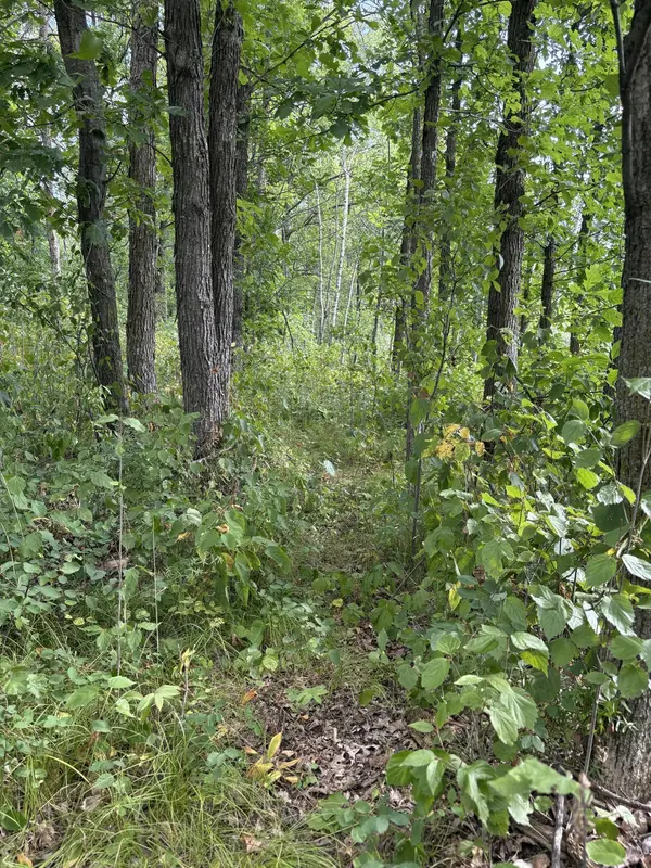 XXX Meadowview Road, Brainerd, MN 56401