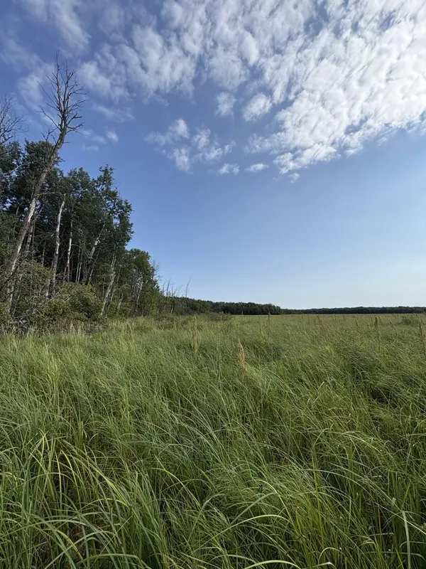 XXX Meadowview Road, Brainerd, MN 56401