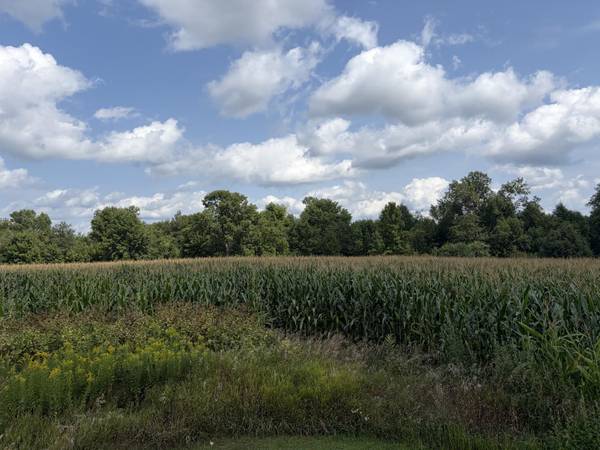 73 45th AVE, Clayton, WI 54004