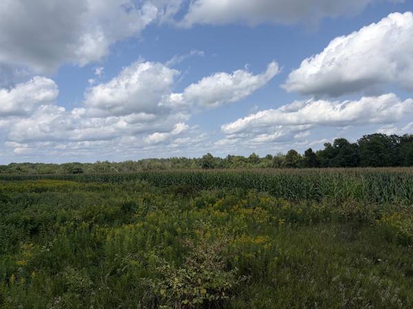 73 45th AVE, Clayton, WI 54004