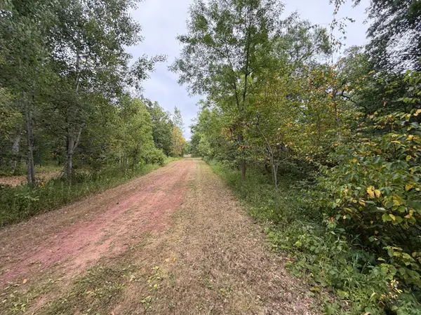 Lot 1 Whitetail, Crosby, MN 56441