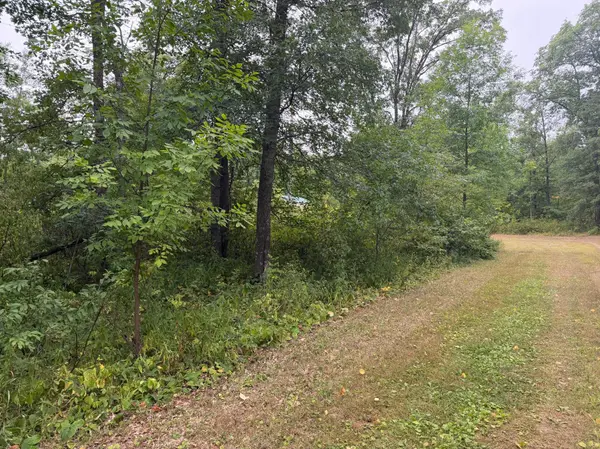 Lot 2 Whitetail, Crosby, MN 56441