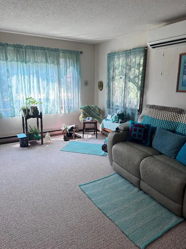 1960 Norway Lake RD SW, Pine River, MN 56474