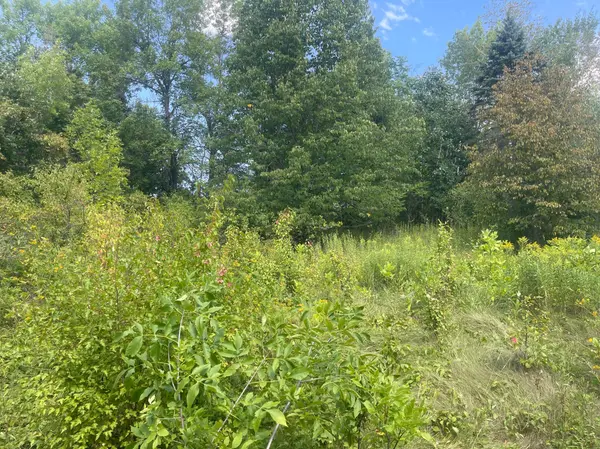 TBD Sand Lake RD, Moose Lake, MN 55767