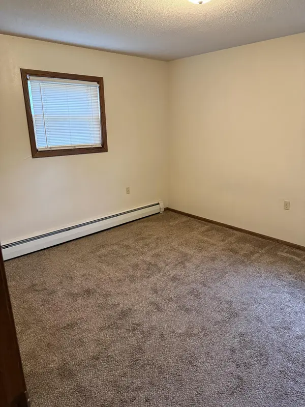 305 N Van Buren AVE, Springfield, MN 56087