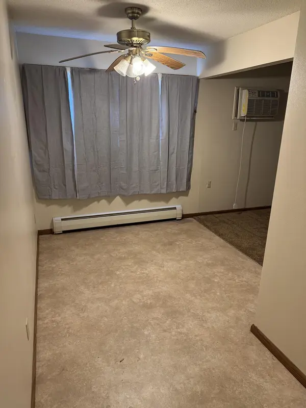 305 N Van Buren AVE, Springfield, MN 56087