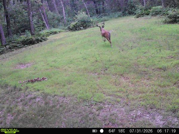 0000 Sand Lake Road, Stone Lake, WI 54876