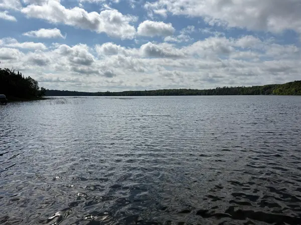 TBD NE Gryce Styne RD NE, Bemidji, MN 56601