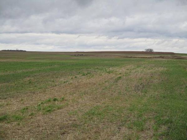 TBD TBD, Sarles, ND 58339