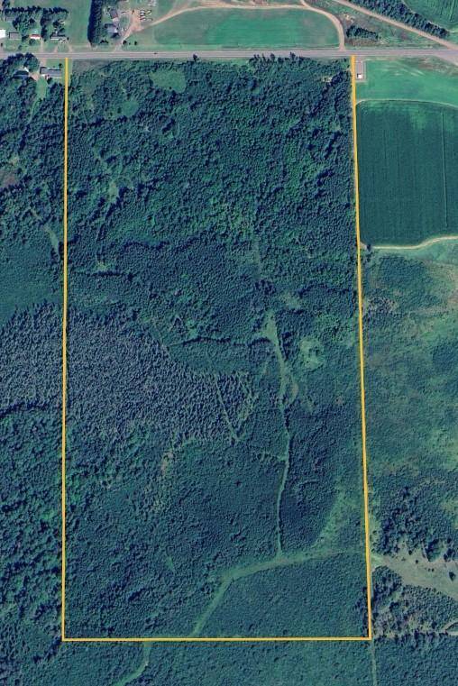 TBD County Road 12, Kettle River, MN 55767