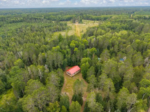 23917 County Road 53, Bigfork, MN 56628