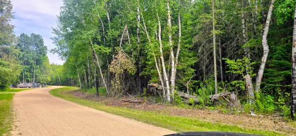 TBD Dawson RD NW, Angle Inlet, MN 56711