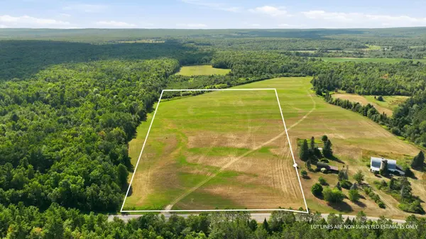 10 Acres State Hwy 40, Bruce, WI 54819