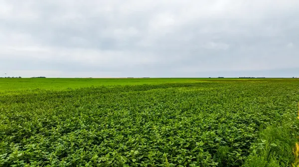 TBD 94 St NE, Bottineau, ND 58318