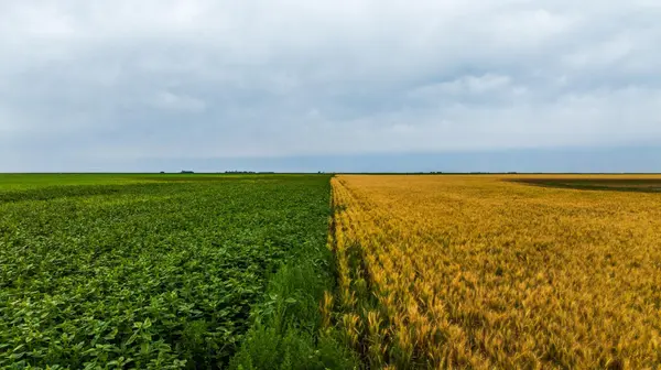 TBD 94 St NE, Bottineau, ND 58318