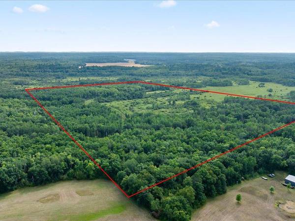 TBD Azalea Road, Motley, MN 56466
