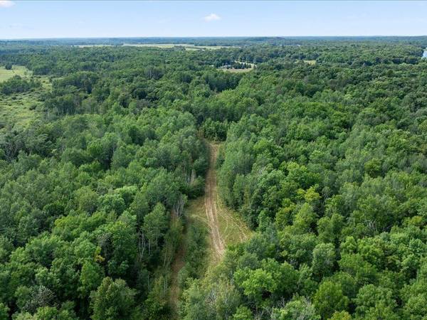 TBD Azalea Road, Motley, MN 56466