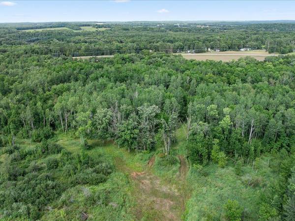 TBD Azalea Road, Motley, MN 56466