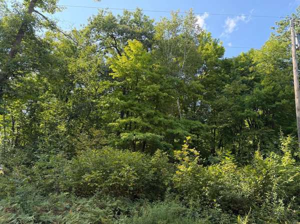 25XXX Eagle Ridge RD, Aitkin, MN 56431