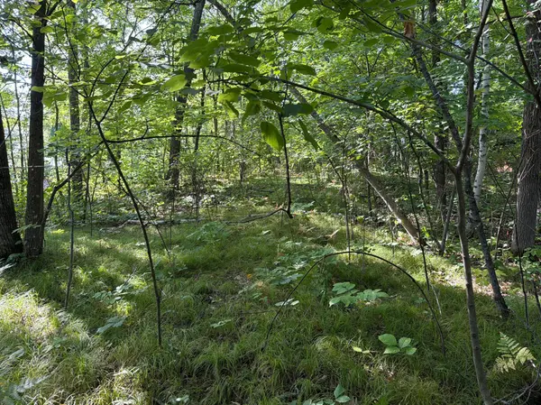25XXX Eagle Ridge RD, Aitkin, MN 56431