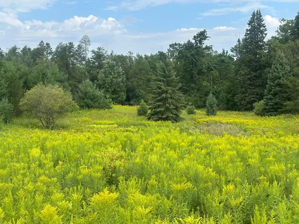 TBD Steinhart Circle, Grand Rapids, MN 55744