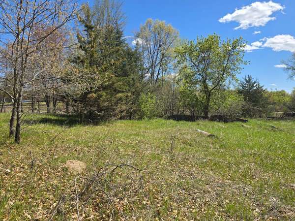 TBD NE West Fawn Lake Road, Stacy, MN 55079