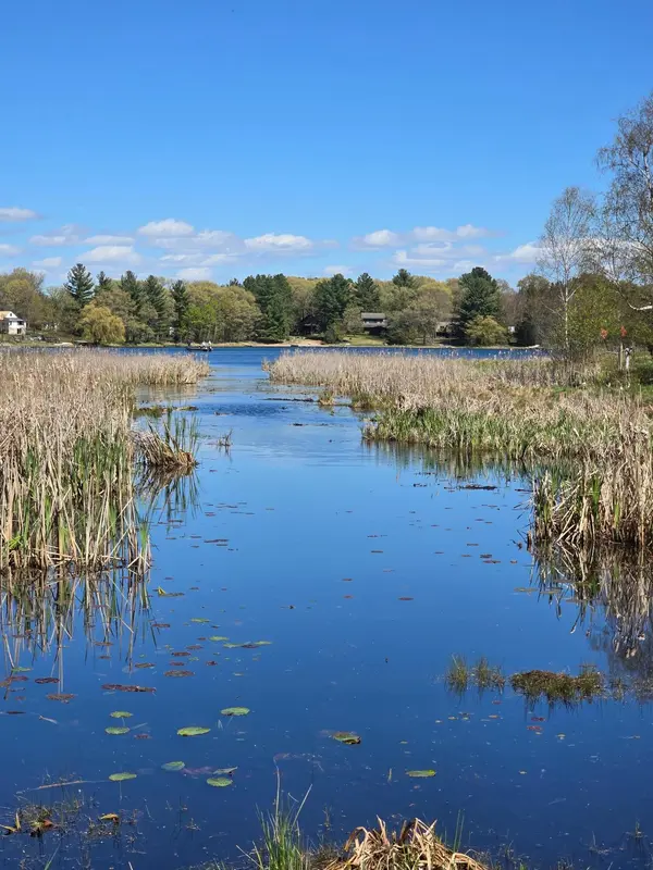 TBD NE West Fawn Lake Road, Stacy, MN 55079