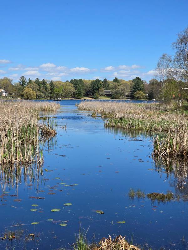 TBD NE West Fawn Lake Road, Stacy, MN 55079