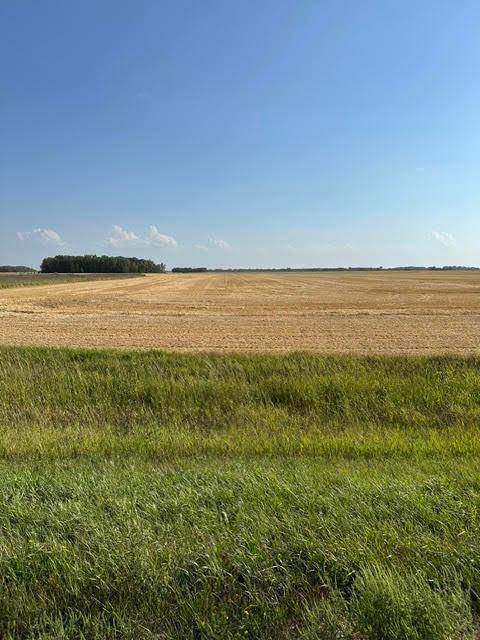 TBD 140th St. NE, Thief River Falls, MN 56701