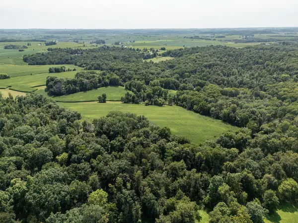 TBD Deer Rd, Canton, MN 55922
