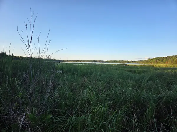 TBD lot 3 190th ST, Bagley, MN 56621