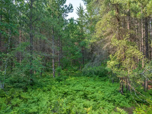 Tract A Highway 21, Babbitt, MN 55706