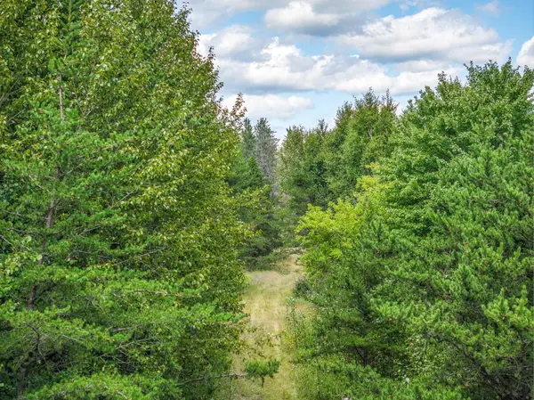 Tract B Highway 21, Babbitt, MN 55706