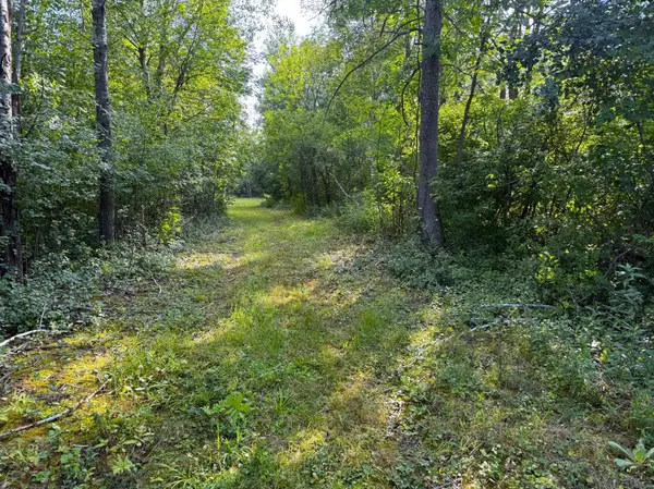 1XXX 150th AVE, Ogilvie, MN 56358