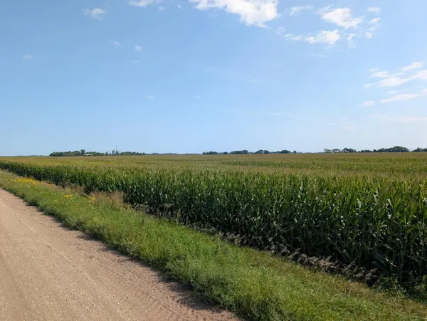 15670 610th Ave, Chokio, MN 56221