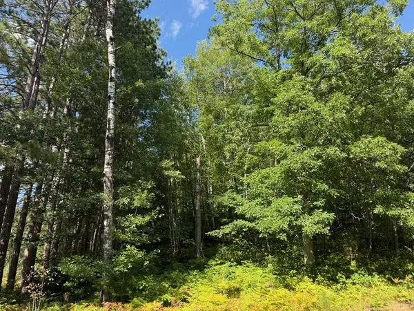 4464 Highway 23, Holyoke, MN 55749