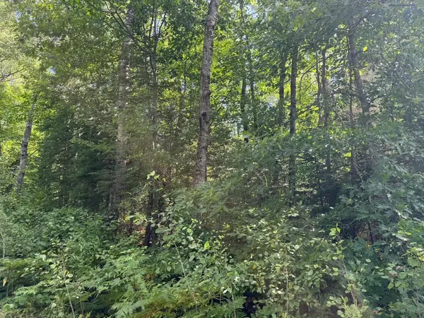 4464 Highway 23, Holyoke, MN 55749