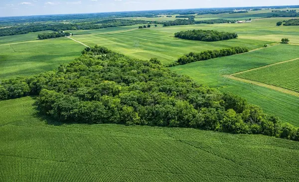 TBD Nicolai AVE, Hastings, MN 55033