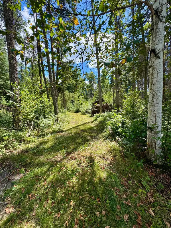 TBD River Forest RD, Roseau, MN 56751