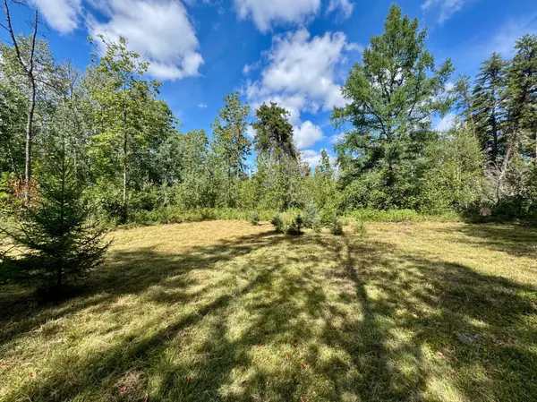 TBD River Forest RD, Roseau, MN 56751