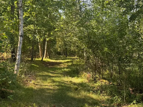 76617 Debbie Ridge RD, Willow River, MN 55795